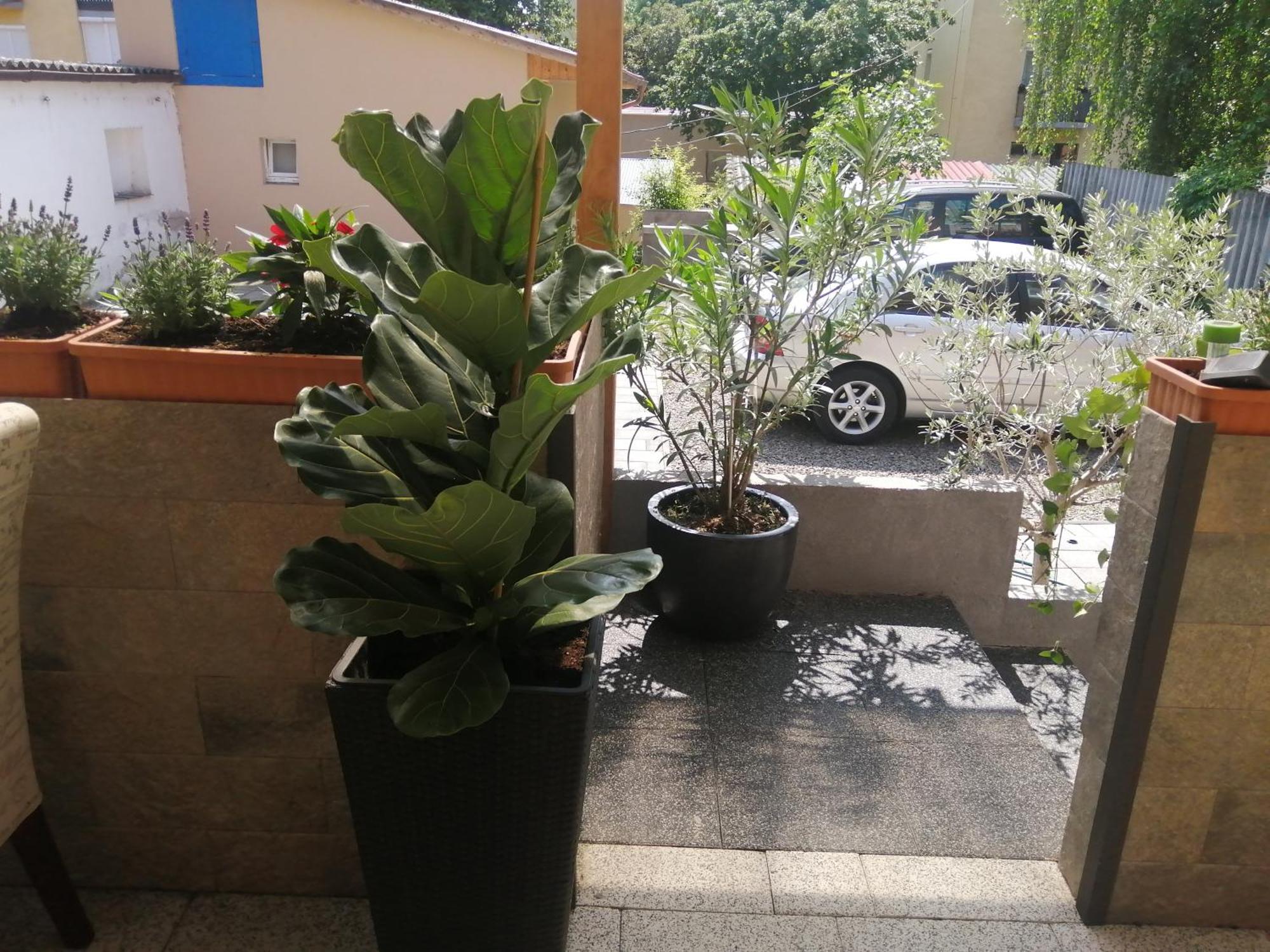 Filsdeger Haz - Central Rooms & Apartmans Εξωτερικό φωτογραφία